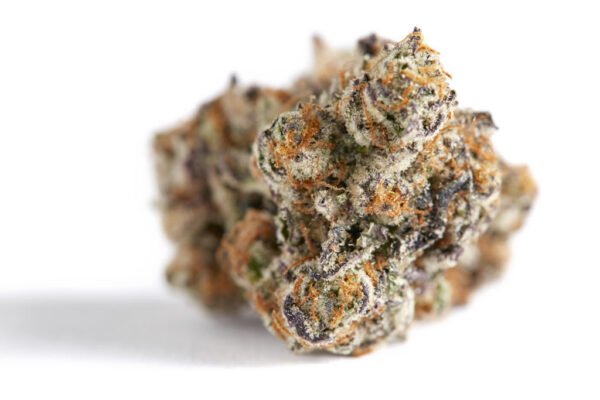Gelato 42
