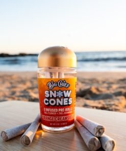 Big Chief Orange Creamsicle – Snow Cone 5-Pack Infused Pre-Rolls